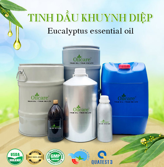 Tinh Dầu Khuynh Diệp Giá Sỉ Tốt Nhất & Bán Buôn Linh Hoạt Số Lượng Lớn (Lít, Kg)