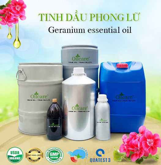 Tinh Dầu Phong Lữ Giá Sỉ Tốt Nhất & Bán Buôn Linh Hoạt Số Lượng Lớn (Lít, Kg)