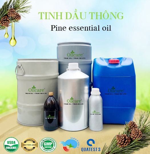 Tinh Dầu Thông Giá Sỉ Tốt Nhất & Bán Buôn Linh Hoạt Số Lượng Lớn (Lít, Kg)