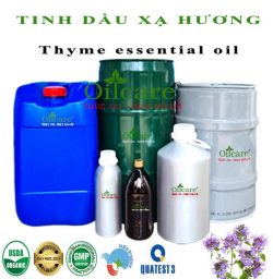 Tinh dầu xạ hương thyme bán sỉ buôn lít