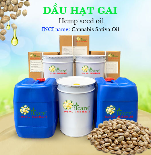 Dầu Hạt Gai Giá Sỉ Tốt Nhất & Bán Buôn Linh Hoạt Số Lượng Lớn (Lít, Kg)