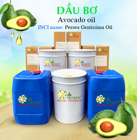 Dầu Trái Bơ Giá Sỉ Tốt Nhất & Bán Buôn Linh Hoạt Số Lượng Lớn (Lít, Kg)