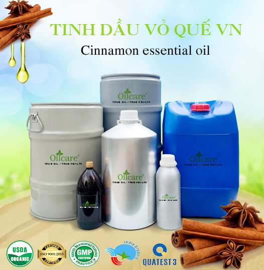 Tinh Dầu Quế Việt Nam Giá Sỉ Tốt Nhất & Bán Buôn Linh Hoạt Số Lượng Lớn (Lít, Kg)