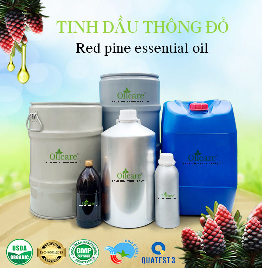 Tinh Dầu Thông Đỏ Giá Sỉ Tốt Nhất