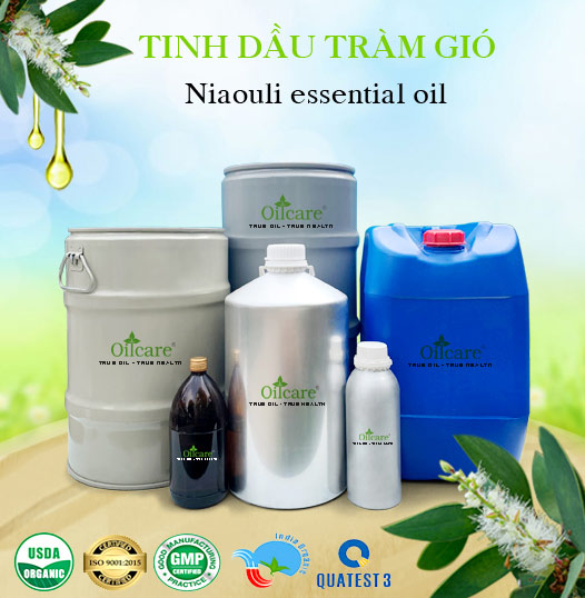 Tinh Dầu Tràm Gió Giá Sỉ Tốt Nhất & Bán Buôn Linh Hoạt Số Lượng Lớn (Lít, Kg)