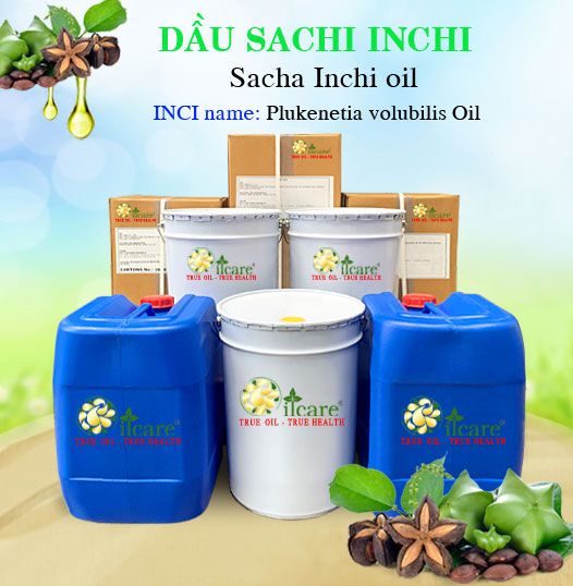 Dầu Sacha inchi Giá Sỉ Tốt Nhất & Bán Buôn Linh Hoạt Số Lượng Lớn (Lít, Kg)