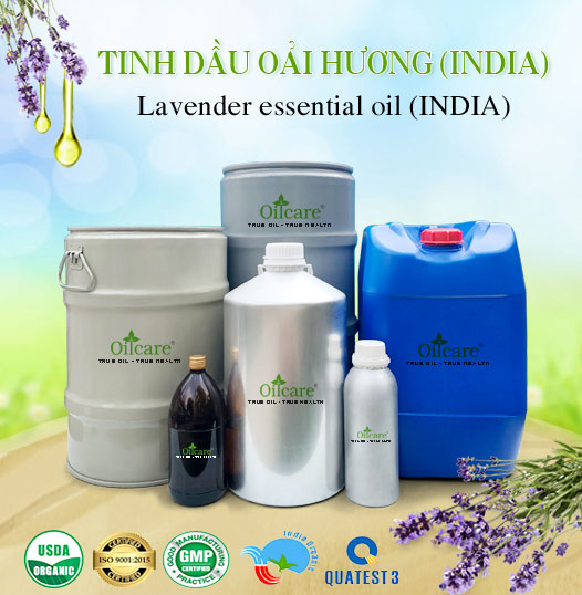 Tinh Dầu Oải Hương Giá Sỉ Tốt Nhất & Bán Buôn Linh Hoạt Số Lượng Lớn (Lít, Kg)