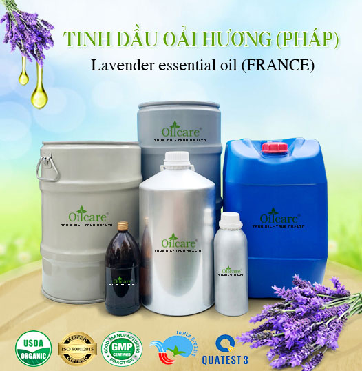 Tinh Dầu Oải Hương Pháp Giá Sỉ Tốt Nhất & Bán Buôn Linh Hoạt Số Lượng Lớn (Lít, Kg)