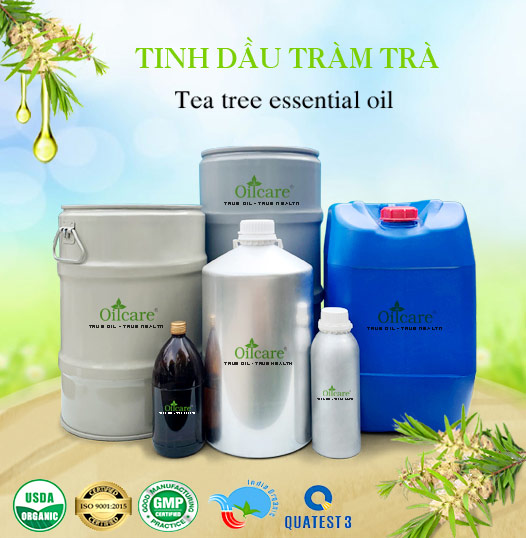 Tinh Dầu Tràm Trà Giá Sỉ Tốt Nhất & Bán Buôn Linh Hoạt Số Lượng Lớn (Lít, Kg)