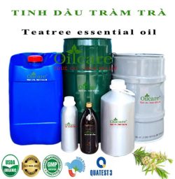 Tinh dầu tea tree oil tràm trà bán sỉ buôn lít kg