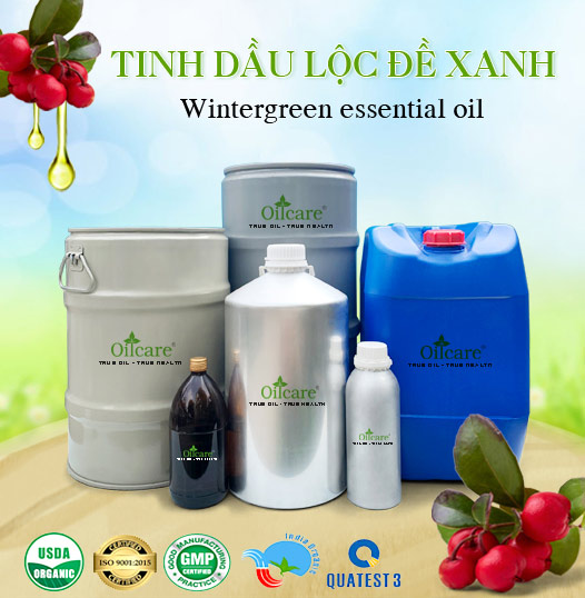 Tinh Dầu Lộc Đề Xanh Giá Sỉ Tốt Nhất
