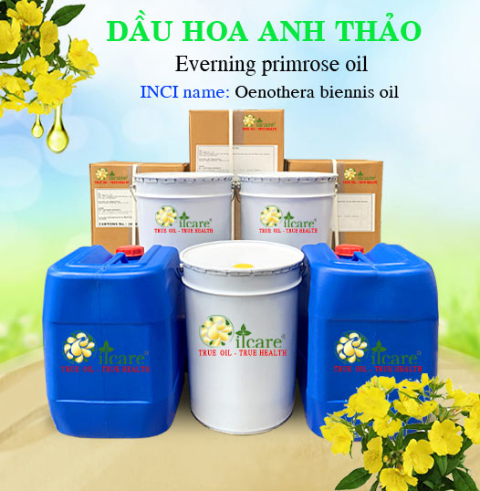 Dầu Hoa Anh Thảo Giá Sỉ Tốt Nhất & Bán Buôn Linh Hoạt Số Lượng Lớn (Lít, Kg)