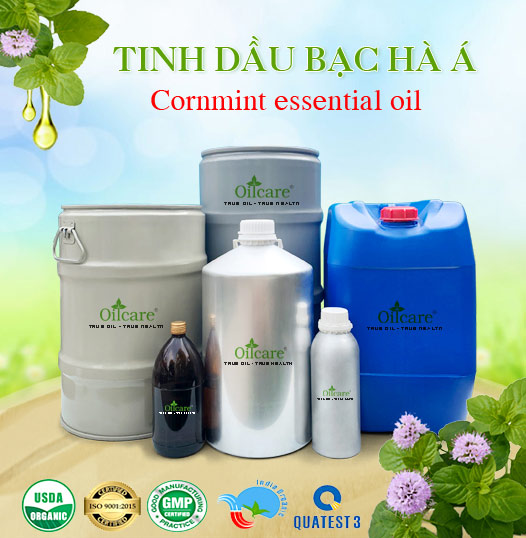 Tinh Dầu Bạc Hà Á Giá Sỉ Tốt Nhất & Bán Buôn Linh Hoạt Số Lượng Lớn (Lít, Kg)