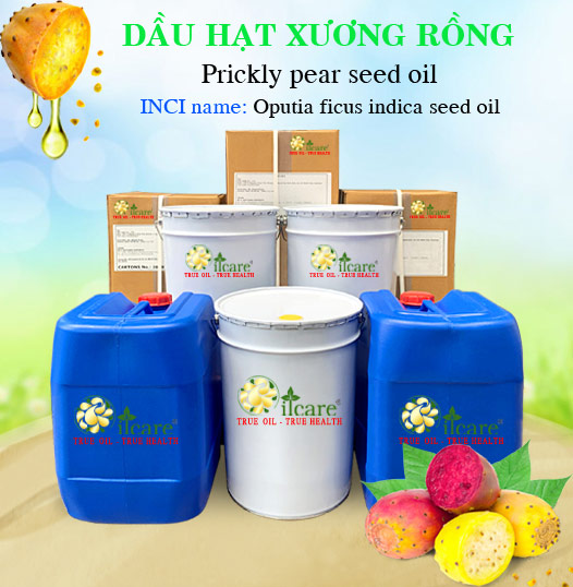 Dầu Hạt Xương Rồng Giá Sỉ Tốt Nhất & Bán Buôn Linh Hoạt Số Lượng Lớn (Lít, Kg)