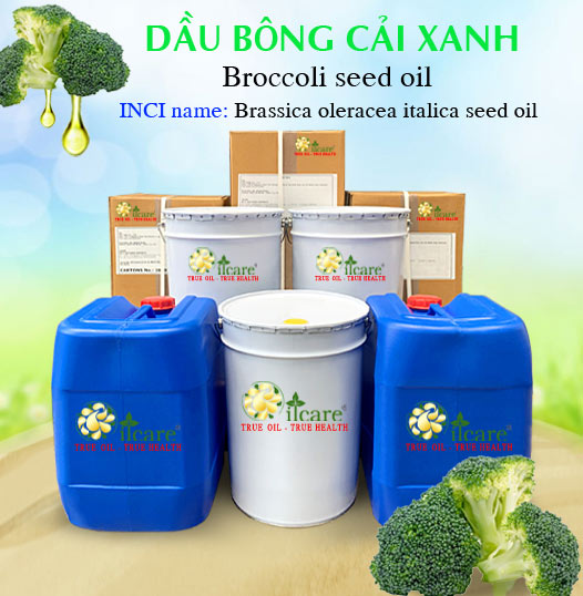 Dầu Bông Cải Xanh Giá Sỉ Tốt Nhất & Bán Buôn Linh Hoạt Số Lượng Lớn (Lít, Kg)