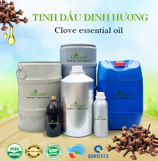 Tinh Dầu Đinh Hương Giá Sỉ Tốt Nhất & Bán Buôn Linh Hoạt Số Lượng Lớn (Lít, Kg)